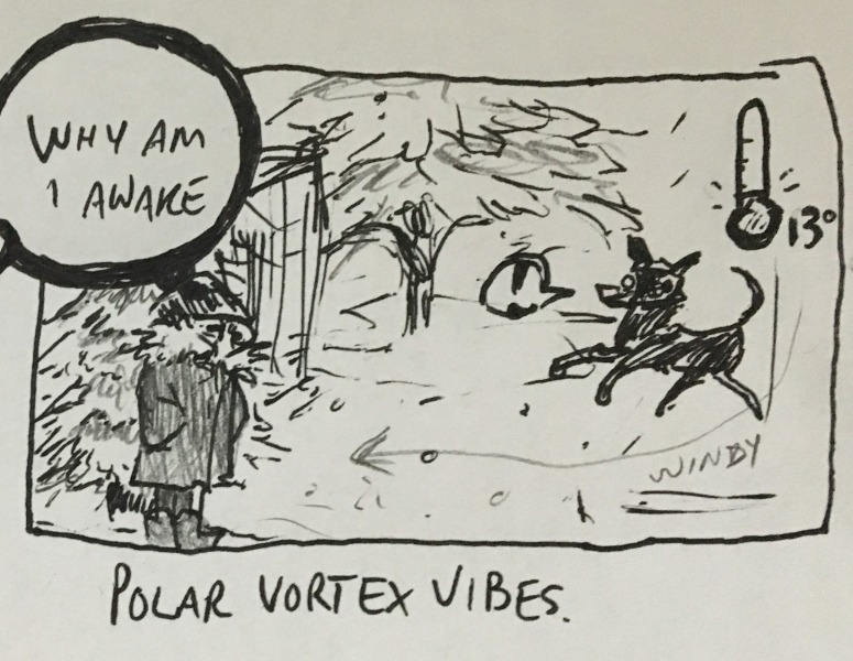 polar vortex vibes. standing in my yard in a big coat, it's 13&deg; and windy, but oakley the dog seems quite happy