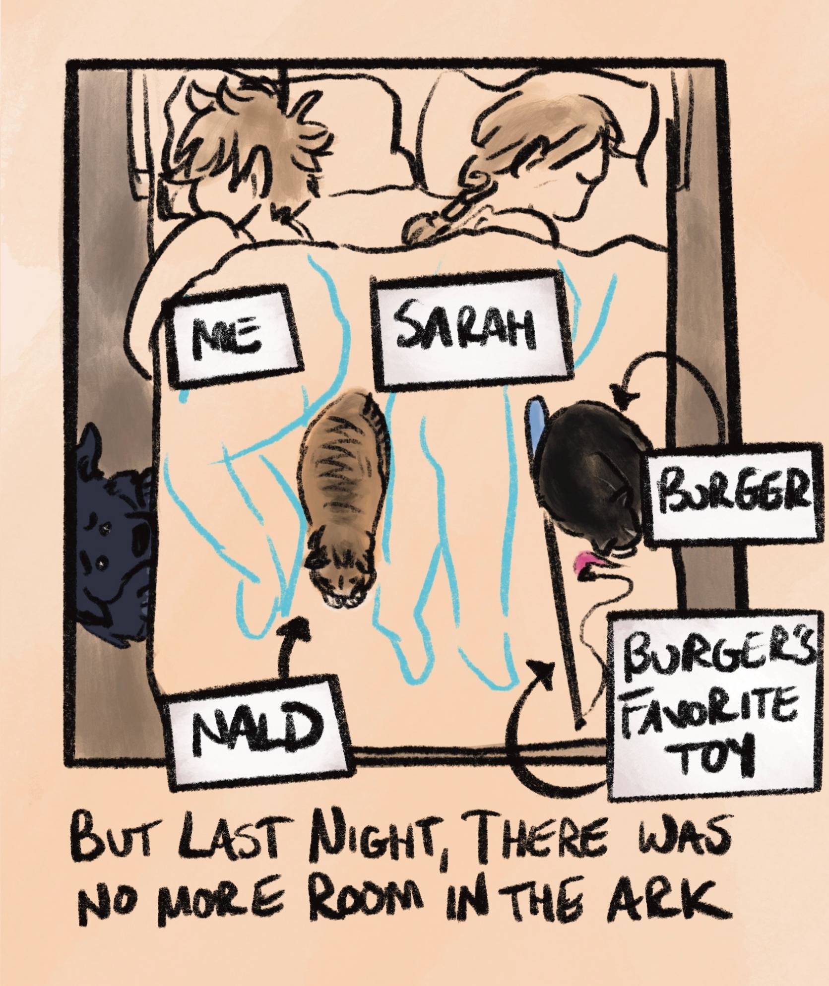 caption: &ldquo;but last night, there was no more room in the ark.&rdquo;  this diagram shows how crowded the bed is: i'm curled up to make space for my brown tabby cat named nald, while sarah is in a straight line between nald, our black tuxedo cat burger, and burger's favorite toy, a teaser wand with a fuzzy worm on the end. oakley has her paws up on the side of the bed, looking for space, but there's not quite enough for her to fit.