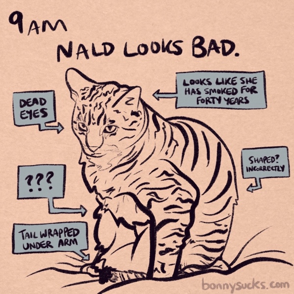 comic panel captioned 9am: nald looks bad. nald (aka bonny) is my tabby cat and she looks atrocious. captions point to her various awful features: her dead eyes, how she looks like she has smoked for forty years, that she is &ldquo;shaped? incorrectly,&rdquo; and that her tail is wrapped under her arm. there's a series of question marks pointing toward her belly, which appears to take up an Immense proportion of her body in this picture. she's a cute cat but it was a bad look and a bad photo. a caption hints that you should look at bonnysucks.com, which is nald's website.